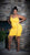 Vibrant Memories Dress (Yellow) - Big House Of Fashion